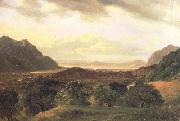Alexandre Calame The Rhone Valley at Bex with a View to the Lake of Geneva (nn02) Germany oil painting reproduction